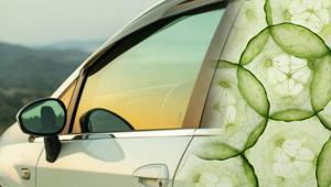 İkiye kesip cama sürün Sabaha ne buz kalıyor ne su: Salatalık kışın anahtarıymış