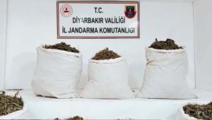 Diyarbakır’da dev uyuşturucu operasyonu: 25 şüpheli yakalandı