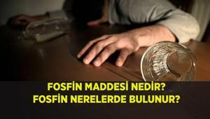 BÖCEK AİLESİNİN ÖLÜMÜNDE FOSFİN GAZI TESPİT EDİLDİ: FOSFİN NERELERDE BULUNUR Alüminyum Fosfin zehirlenme belirtileri nelerdir ve nerelerde kullanılır