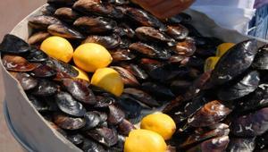 Taze değilse riskli, bozuk midye vücudu mahvediyor Su testiyle sonucu hemen öğrenin