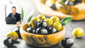 Zeytin ağacının sırları: Bin yıllık ömür ve yağın yolculuğu