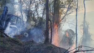Artvin’de korkutan yangın Rüzgar alevleri büyüttü