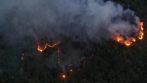 Artvinde örtü yangını ormana sıçradı