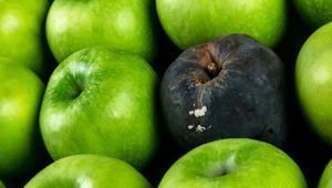 Çürük elmalar tarihe karışıyor, sıcakta ezilmiyor Sandığınızdan daha basit
