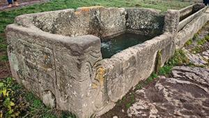 Yer: Bolu 29 doğasever, dinlemek için mola verdikleri çeşmede şoke oldu