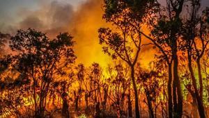 Avustralya kabusu yaşıyor Hızla yayılan yangında 16 ev küle döndü