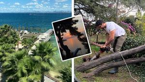 İstanbul’un yanı başında cenneti yaşıyor ‘Basit şeylerin değerini burada anladım’