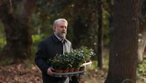 KRAL KAYBEDERSE neden final yaptı Kral Kaybederse gerçekte kim Kral Kaybederse hangi kitaptan uyarlama