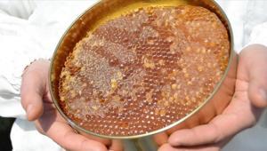 Doğu Karadenizin bal ihracatı 1,9 milyon doları aştı