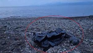 Ekipleri harekete geçiren olay Vatandaşlar tarafından fark edildi