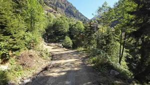 Rize’de orman alarmı 174 bin hektarlık yeşil alan riskte