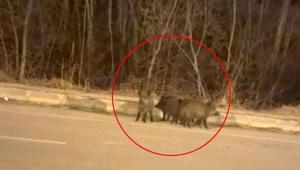 Kentin her yerini sardılar Vatandaşlar tedirgin: Tedbirli olmalıyız