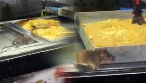 İzmirden iğrenç görüntü Fare böreklerin arasında cirit attı: İşletmeden şok savunma