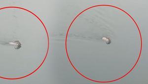 Görür görmez telefona sarıldı Baraj gölünü yüzerek geçti