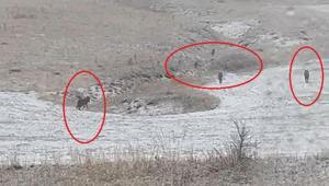 Yer: Bayburt Köylüleri dehşete düşüren görüntü