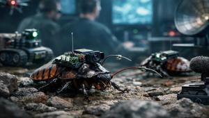 Alman girişim hamamböceklerini robot casuslara dönüştürüyor