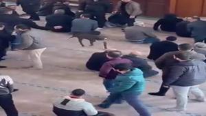 Kocaelide pitbull camiye girdi Sahibine adli ve idari işlem yapıldı