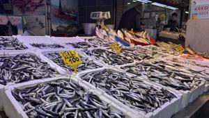 Trabzonda hamsi ve istavrit 100 liradan satılıyor