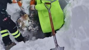 Artvinde çığ altında kalan 2 kişiyi arama çalışmaları ikinci günde sürüyor