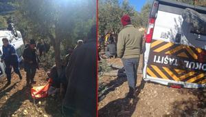 Öğrenci servisi zeytinliğe uçtu 4ü öğrenci 5 kişi yaralandı