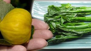 Bitmeyen halsizliğin sebebi buymuş Kurusu yaşından daha çok demir içeriyor