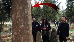 Boyları 4 metreyi buluyor: Türk milletinin tapu senedi