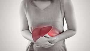 Bir virüsle başlıyor, karaciğeri sessizce bitiriyor 1998 öncesi doğanlara kritik uyarı