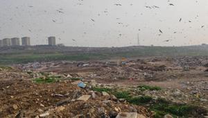 Katı atık tesisinde vahşi depolama yapan Bursa Büyükşehir Belediyesi’ne 1.8 milyon TL ceza