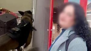 17 yaşındaki Eylül başından vurulmuştu Yaralayan kişi ile ilgili şok detay