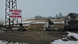 İlçede kuduz alarmı Karantina uygulaması başlatıldı