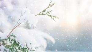 PROF DR. ORHAN ŞEN TARİH VERDİ İSTANBULA KAR YAĞACAK MI, NE ZAMAN YAĞACAK Pazartesi günü İstanbula kar mı yağacak Son dakika kar uyarısı