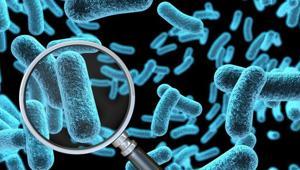 Klozetten daha kirli Masum sanıyorduk ama bu 8 eşya bakteri yuvası çıktı