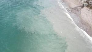 İstanbulda kötü koku tedirgin etti Denizdeki renk değişimi havadan görüntülendi