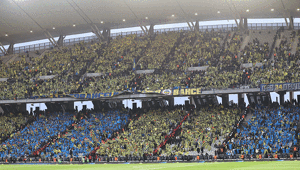 Fenerbahçeden geçmiş olsun mesajı İki taraftarın yaralandığı açıklandı