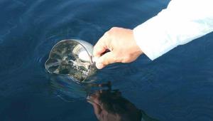 Karadenizde petrol sinyali Yıllardır merak ediliyordu: Artık kesin