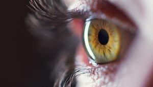 Her gün binlerce kez yapıyoruz Peki neden göz kırparız hiç düşündünüz mü