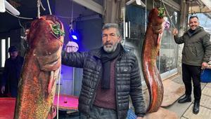 Görenler şaşkın: Ankara’da yakalandı: 2 metre uzunluğunda ve 85 kilo