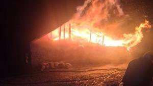 Yer: Adana Sobadan çıkan yangın, evi küle çevirdi