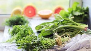 Yeşilliklerin daha çabuk solmasına neden olan hata Buzdolabına sakın böyle koymayın