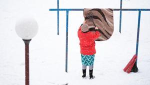 İskandinav tarzı halı yıkama tekniği Su ve sabun yok