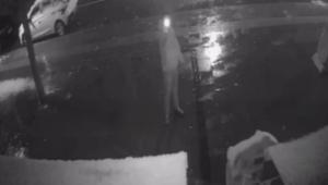 İstanbul Başakşehirde gece iş yerini kurşunladı