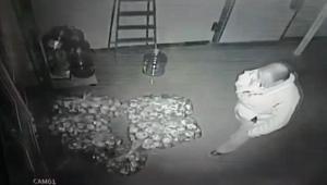 Fırınlar arası çirkin rekabet Gece ekmeği çaldı, küflendirip geri bıraktı