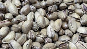 Türkiyeden geçen yıl 178 milyon dolarlık Antep fıstığı ihraç edildi