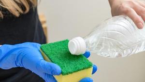 Her yerde kullanılıyor sanılıyor ama yanlış Sirkenin zarar verdiği 5 ev alanı