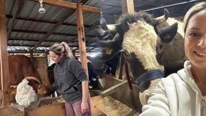 Eşinden altın yerine inek istedi Ev hanımıyken girişimci oldu: Bir inekle başladım 8’e çıkardım
