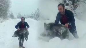 Yavru domuzu elleriyle yakalamıştı 15 bin liralık şok ceza