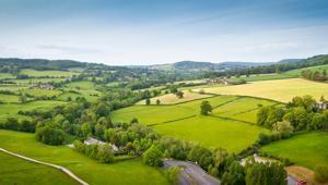 Yatırımı olanlar dikkat Arsada getiri enflasyona yenildi: İşte fiyatların en çok arttığı 5 şehir