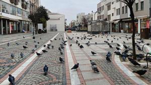 Bir kent sessizliğe büründü Cadde ve sokaklar boş kaldı