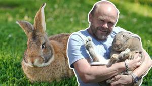 Dev tavşan Dory şeker komasına giren sahibinin hayatını nasıl kurtardı