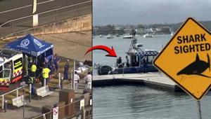 12 yaşındaki çocuğa köpekbalığı saldırdı, durumu kritik Avustralyada korkunç olay